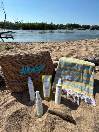 Été 2023 ☀️😎